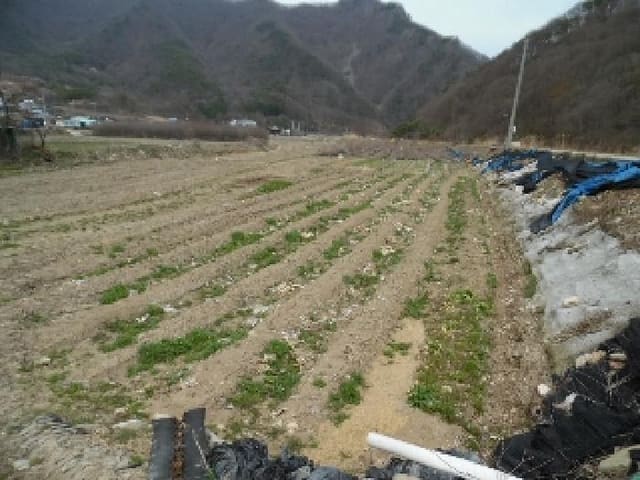 B000520202501300310653.jpg