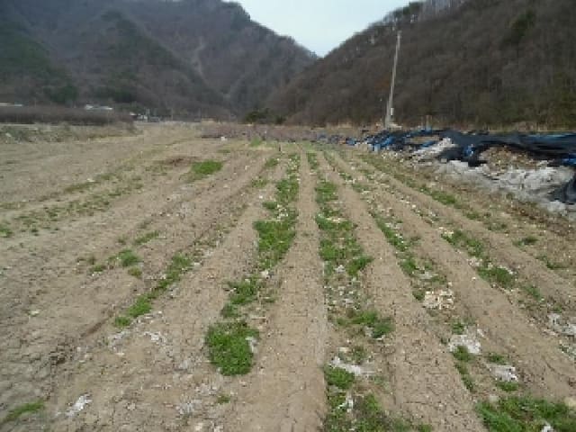B000520202501300310654.jpg