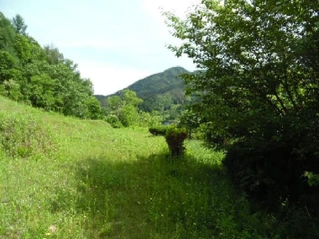 B000520202501300310931.jpg