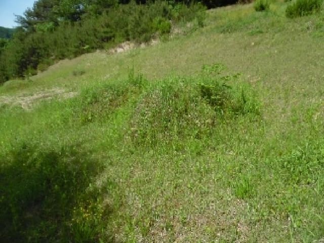 B000520202501300310933.jpg
