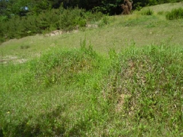 B000520202501300310932.jpg