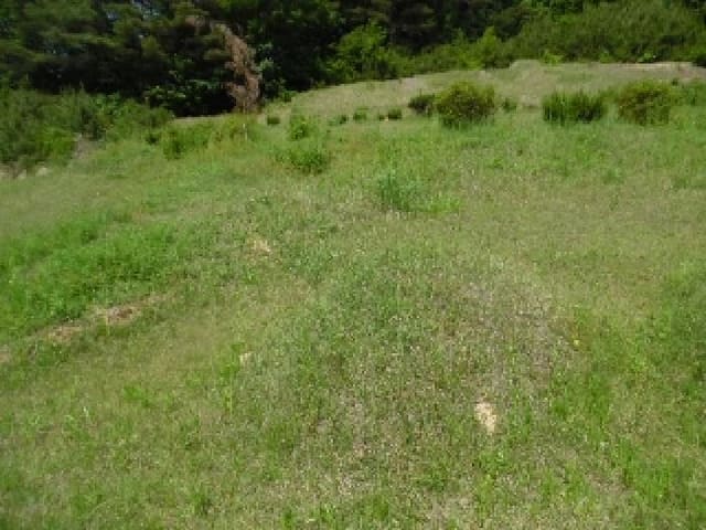 B000520202501300310934.jpg