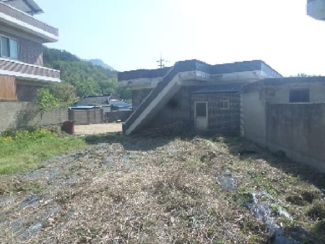 B000520202501300311124.jpg