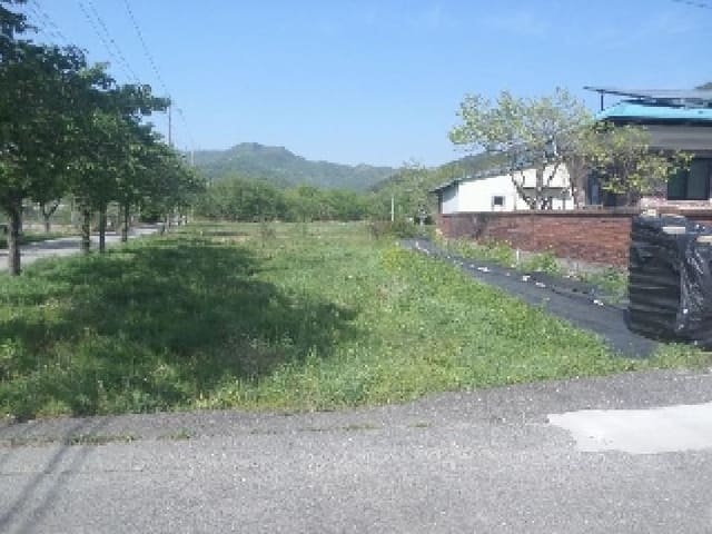 B000520202501300311123.jpg