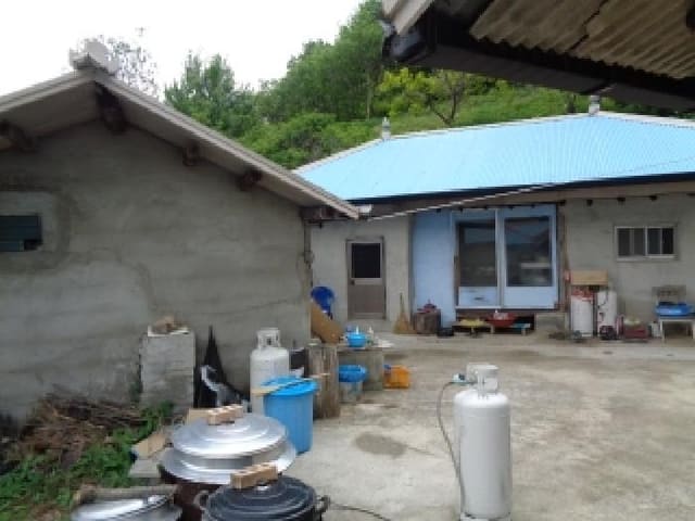 B000520202501300311332.jpg