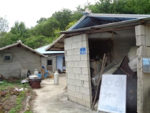 B000520202501300311331.jpg