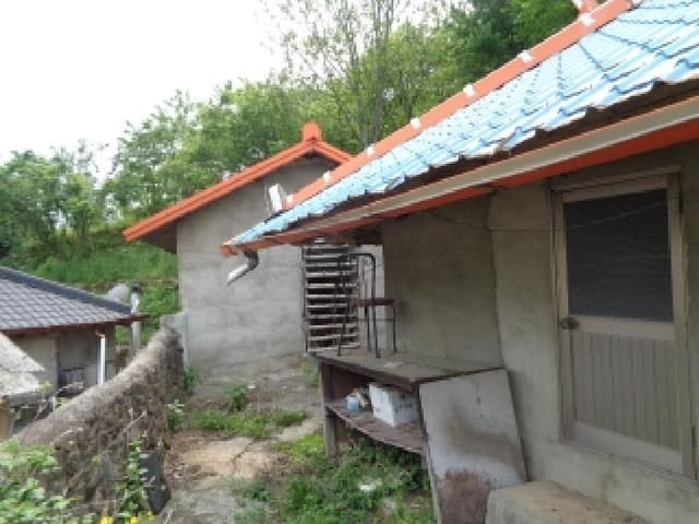 B000520202501300311334.jpg