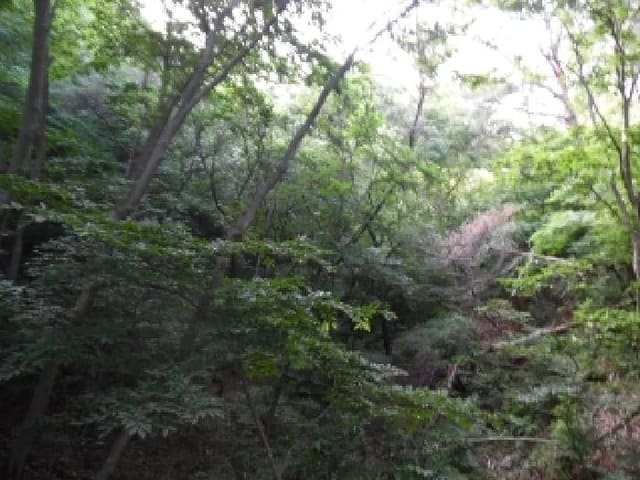 B000520202501300311674.jpg