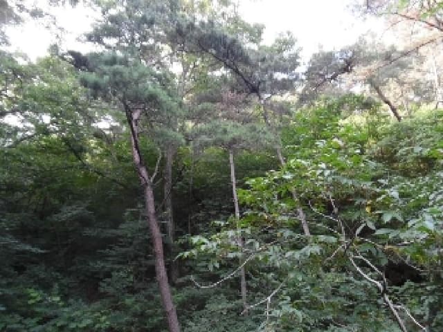 B000520202501300311671.jpg