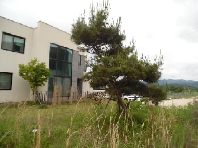 B000520202501300312124.jpg