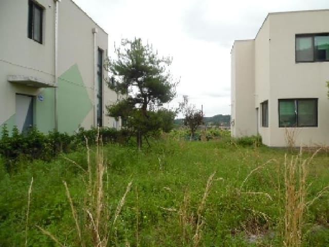 B000520202501300312123.jpg