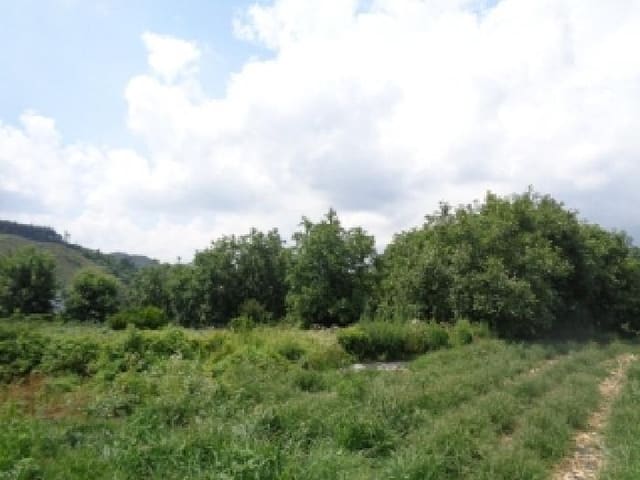 B000520202501300312883.jpg