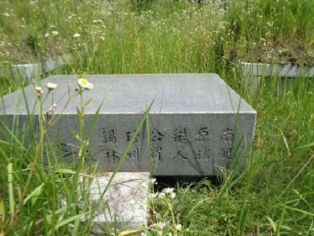 B000520202501300312881.jpg