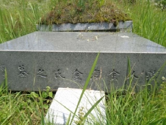 B000520202501300312882.jpg