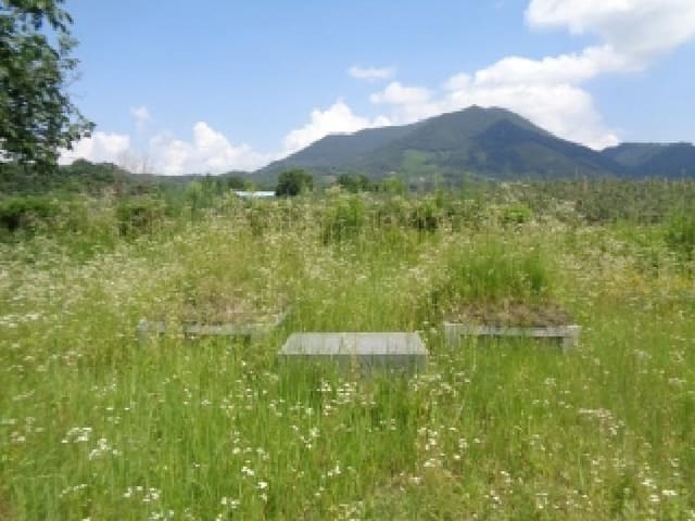 B000520202501300312884.jpg