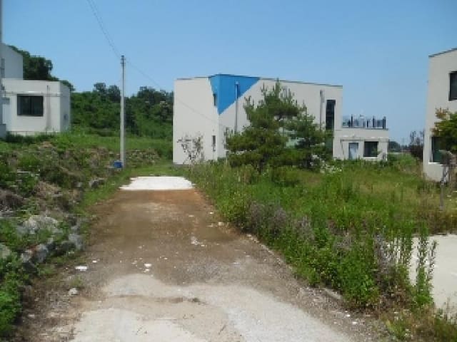 B000520202501300313134.jpg