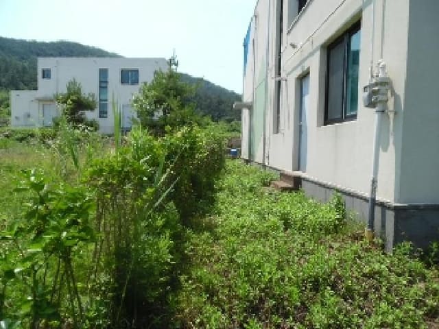 B000520202501300313131.jpg