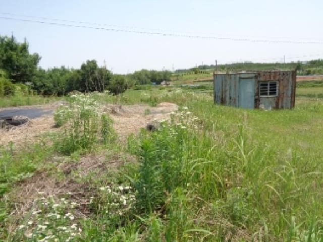 B000520202501300313174.jpg