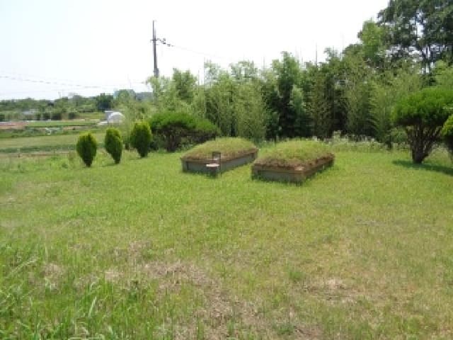 B000520202501300313173.jpg