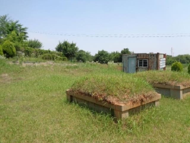 B000520202501300313171.jpg