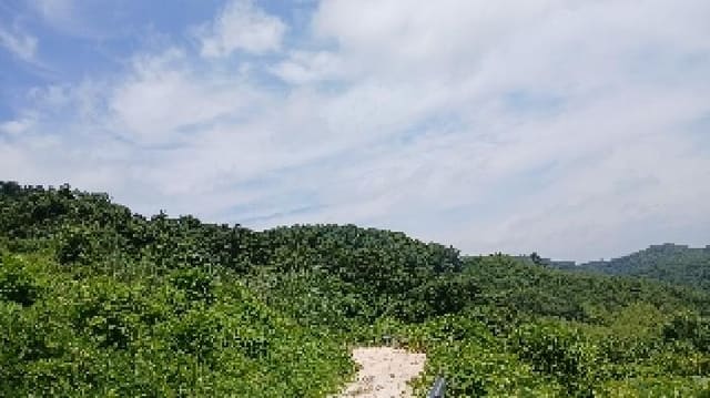 B000520202501300313491.jpg