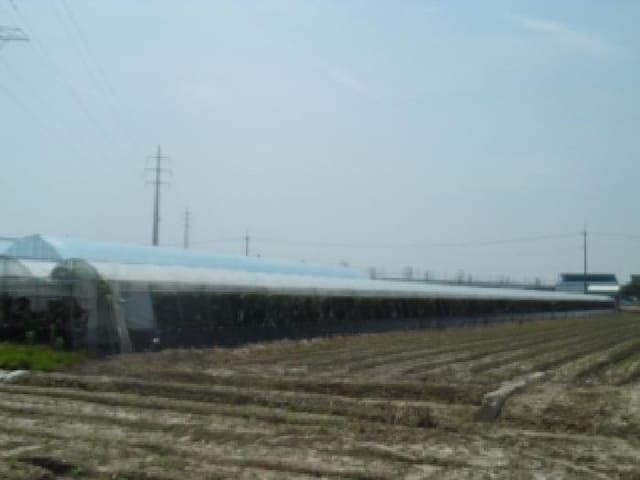 B000520202501300313514.jpg