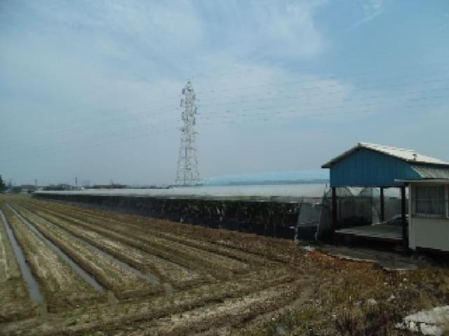 B000520202501300313513.jpg