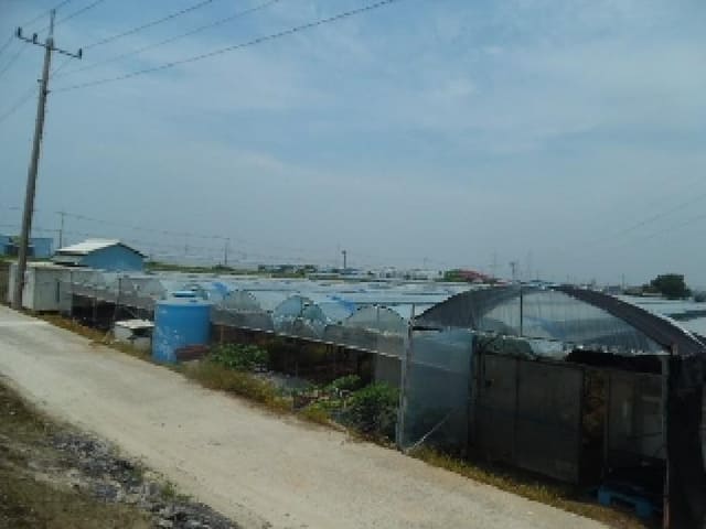 B000520202501300313511.jpg