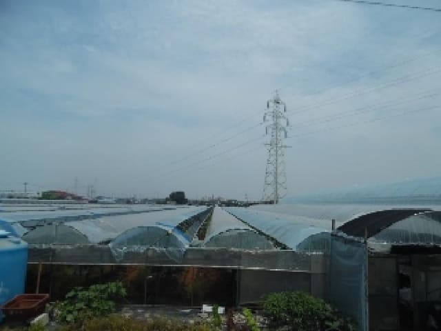 B000520202501300313512.jpg