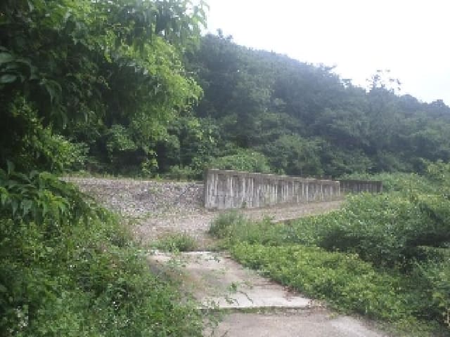 B000520202501300313742.jpg