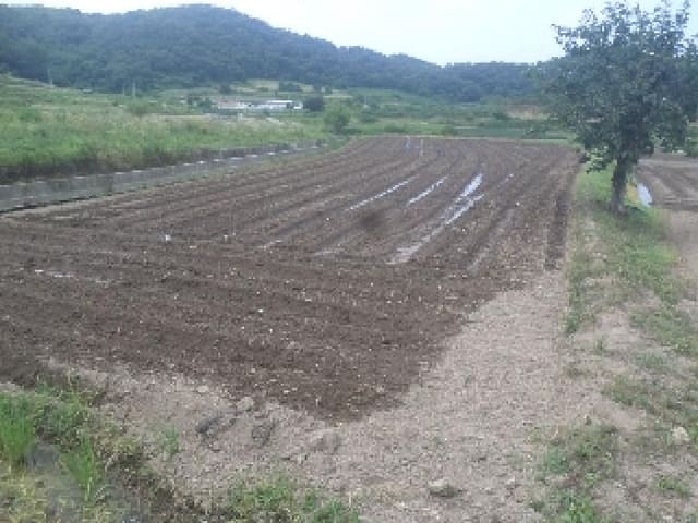 B000520202501300313821.jpg