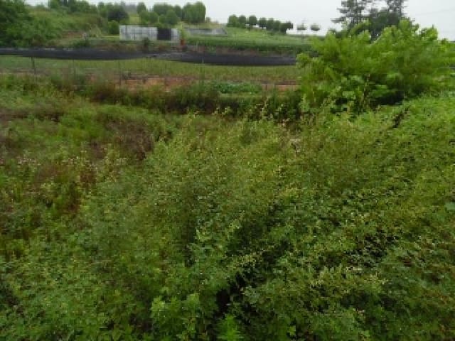 B000520202501300314181.jpg