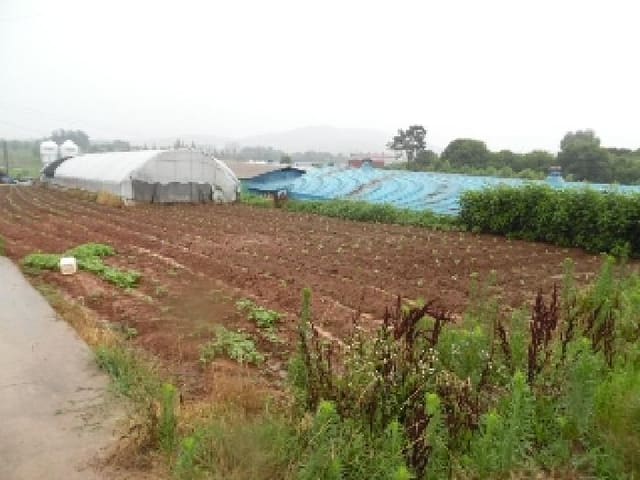 B000520202501300314183.jpg