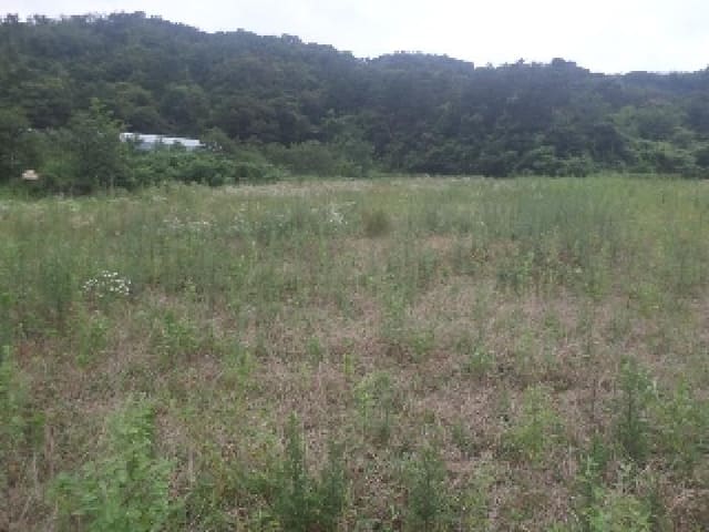 B000520202501300314224.jpg