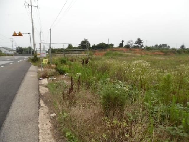 B000520202501300314352.jpg