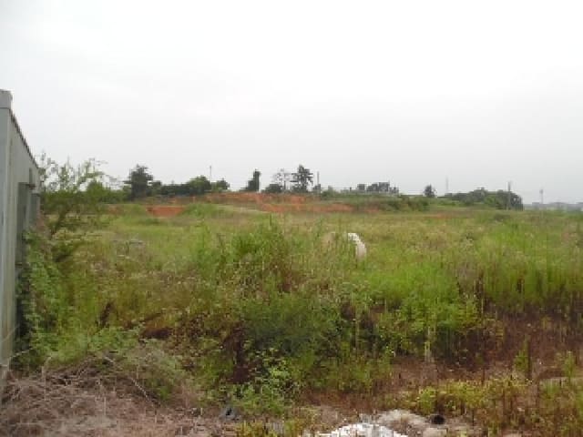 B000520202501300314353.jpg