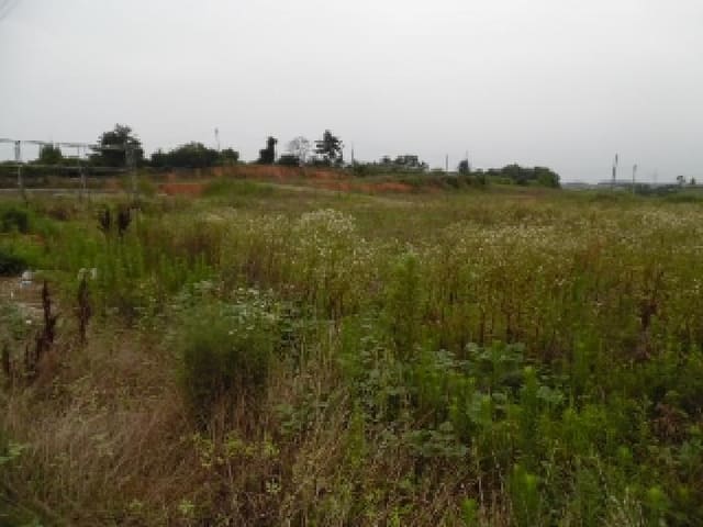 B000520202501300314351.jpg