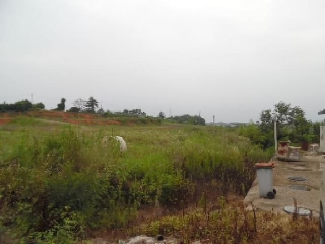 B000520202501300314354.jpg