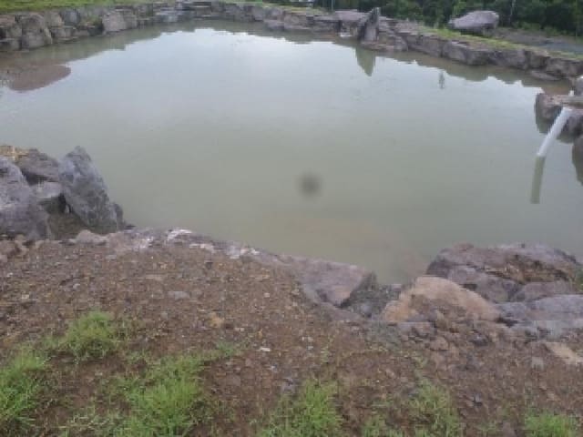 B000520202501300314403.jpg