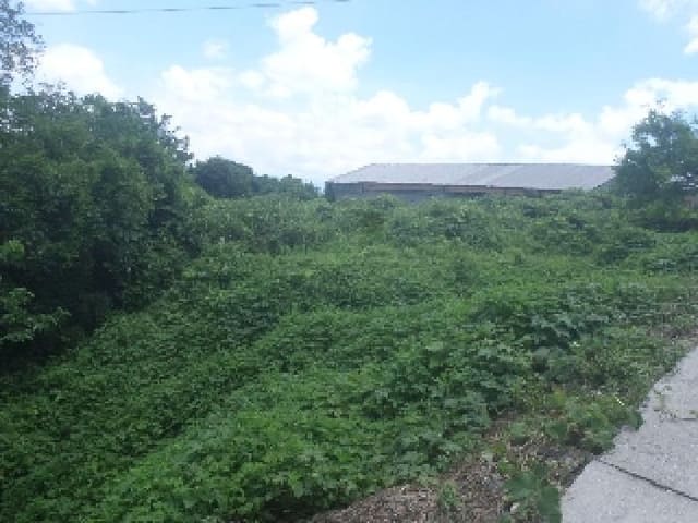 B000520202501300314493.jpg