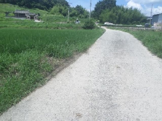 B000520202501300314491.jpg