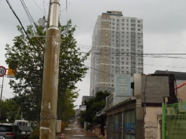 B000520202501300314533.jpg