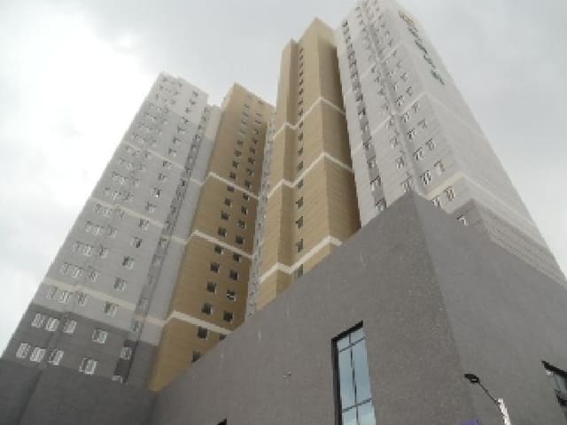 B000520202501300314541.jpg