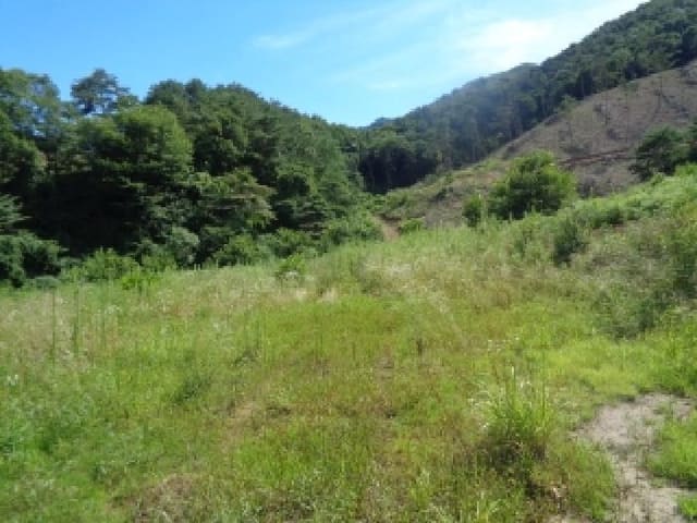 B000520202501300314753.jpg
