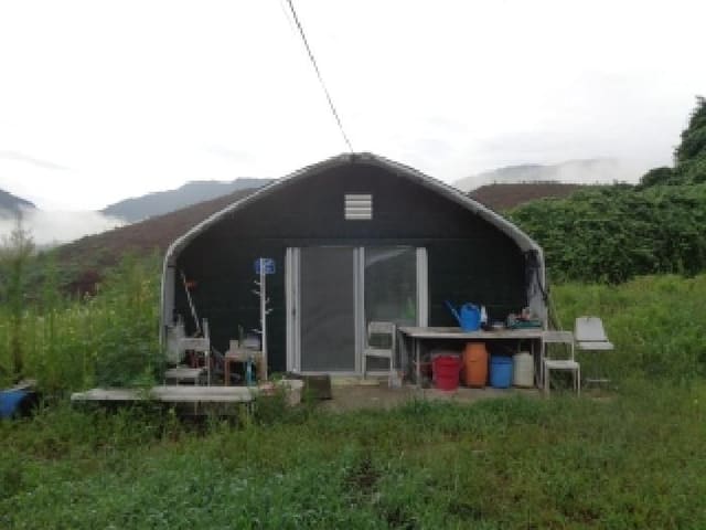 B0005202025013003148115.jpg