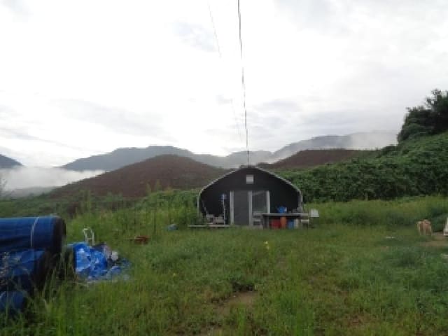 B0005202025013003148112.jpg