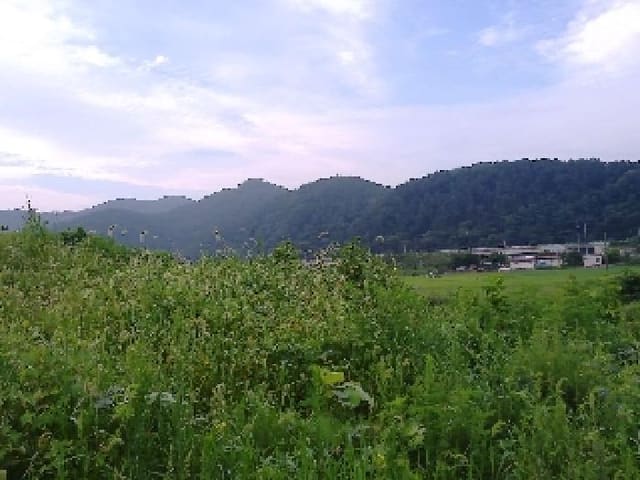 B000520202501300314843.jpg