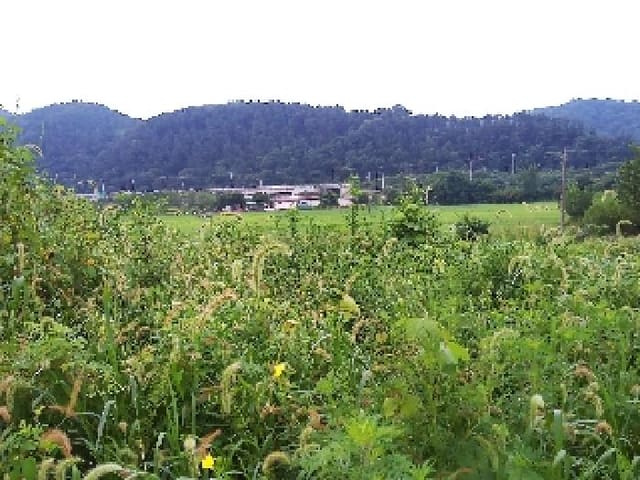 B000520202501300314841.jpg