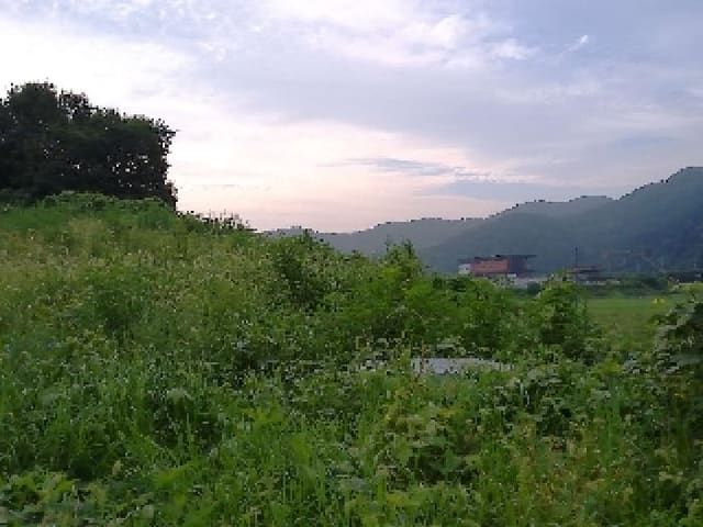 B000520202501300314842.jpg