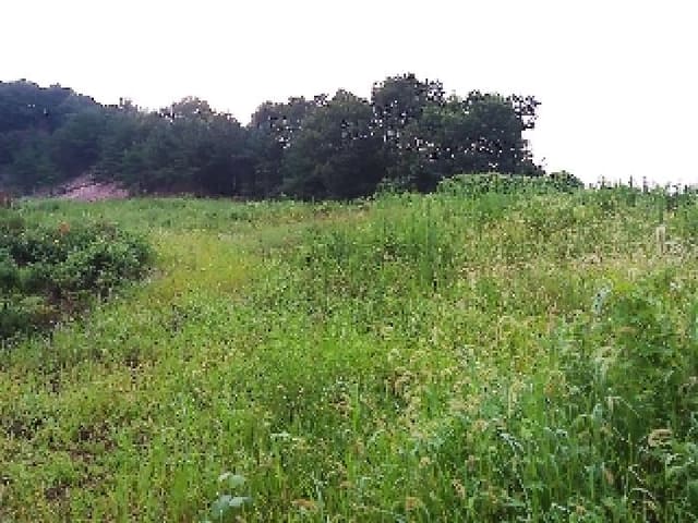 B000520202501300314844.jpg